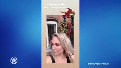 Kimberley Klaver redt vogel uit het park