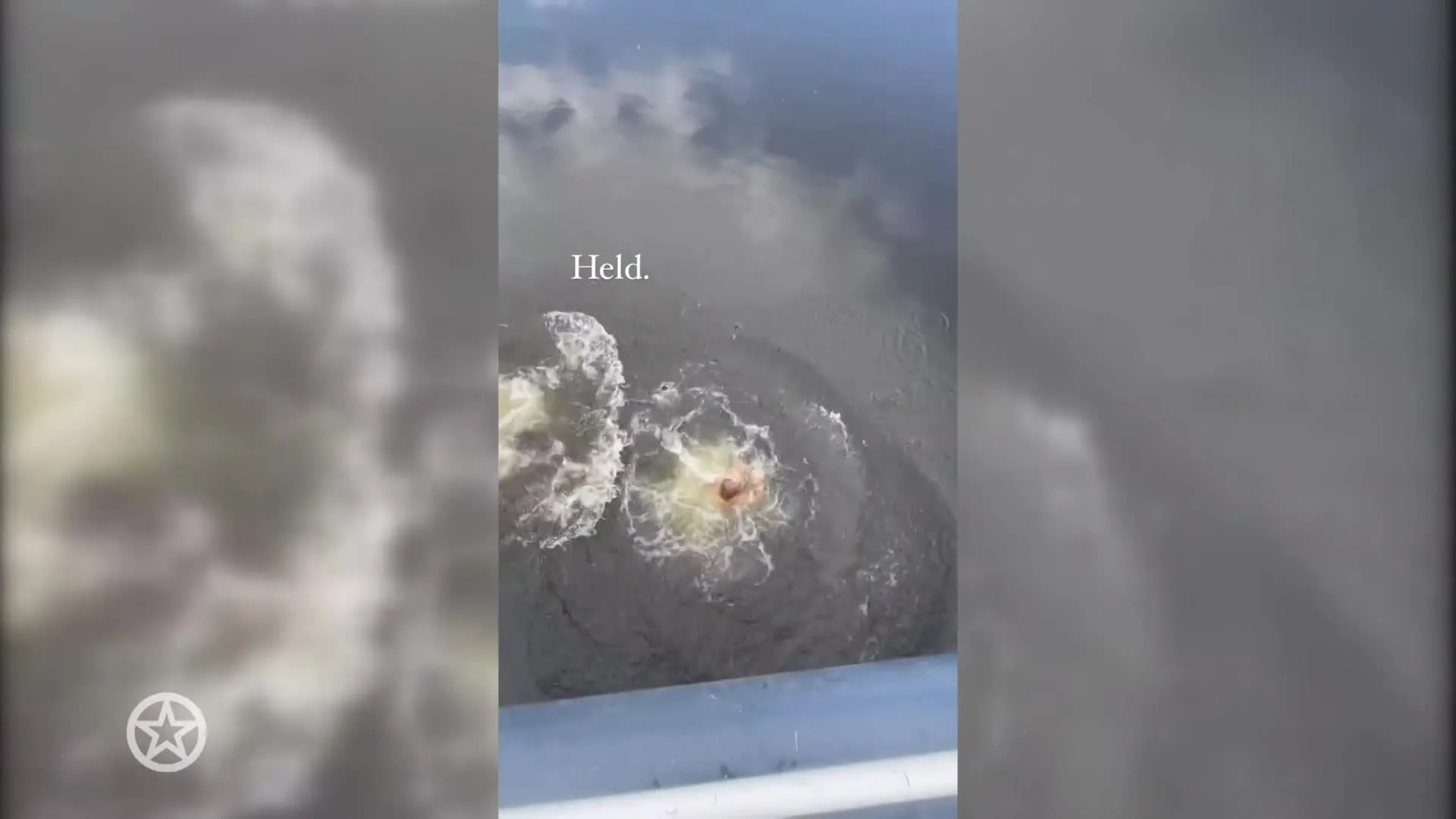 Kleine held André springt van brug