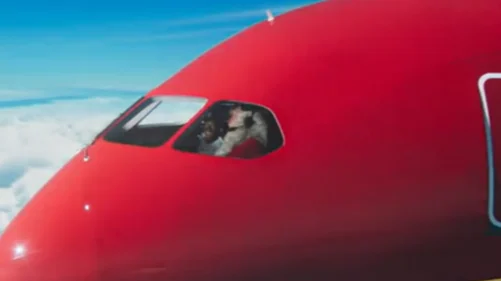 Sinterklaas in vliegtuig, commentaar op social media: 'Geen vliegschaamte'