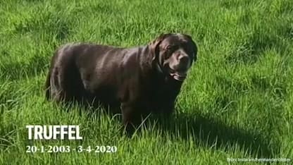 Groot verdriet voor Herman den Blijker