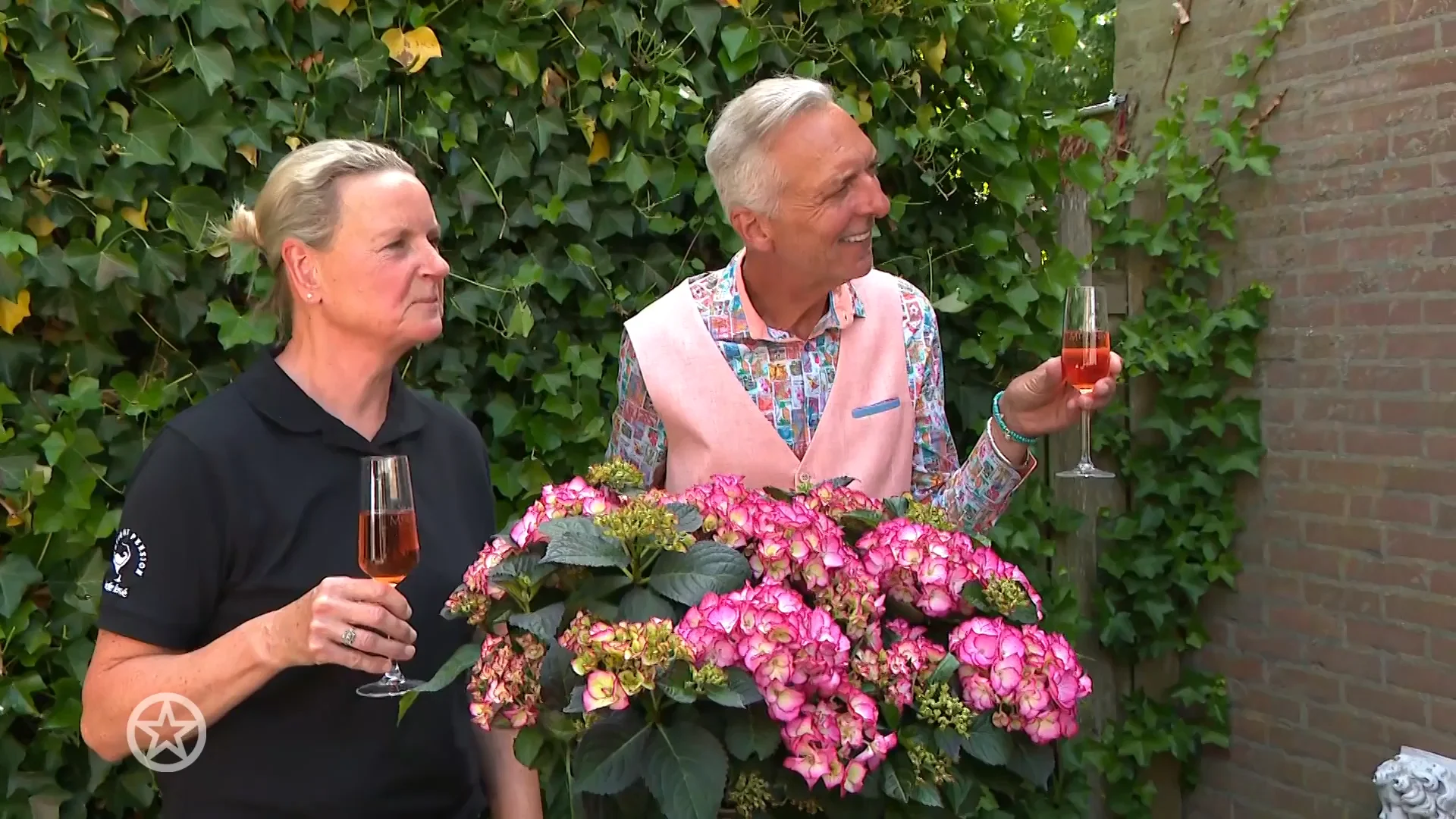 Deze tuinplant is vernoemd naar de Meilandjes