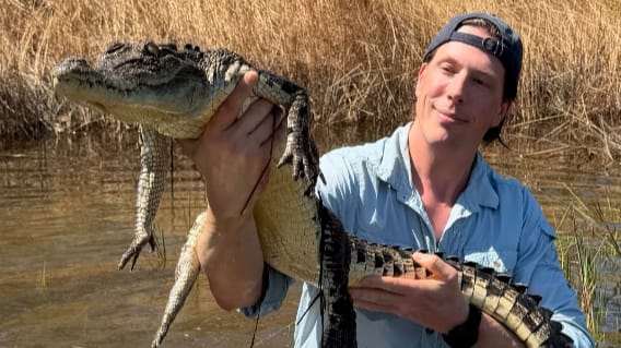 Freek Vonk gebeten door krokodil: 'Risico van het vak'