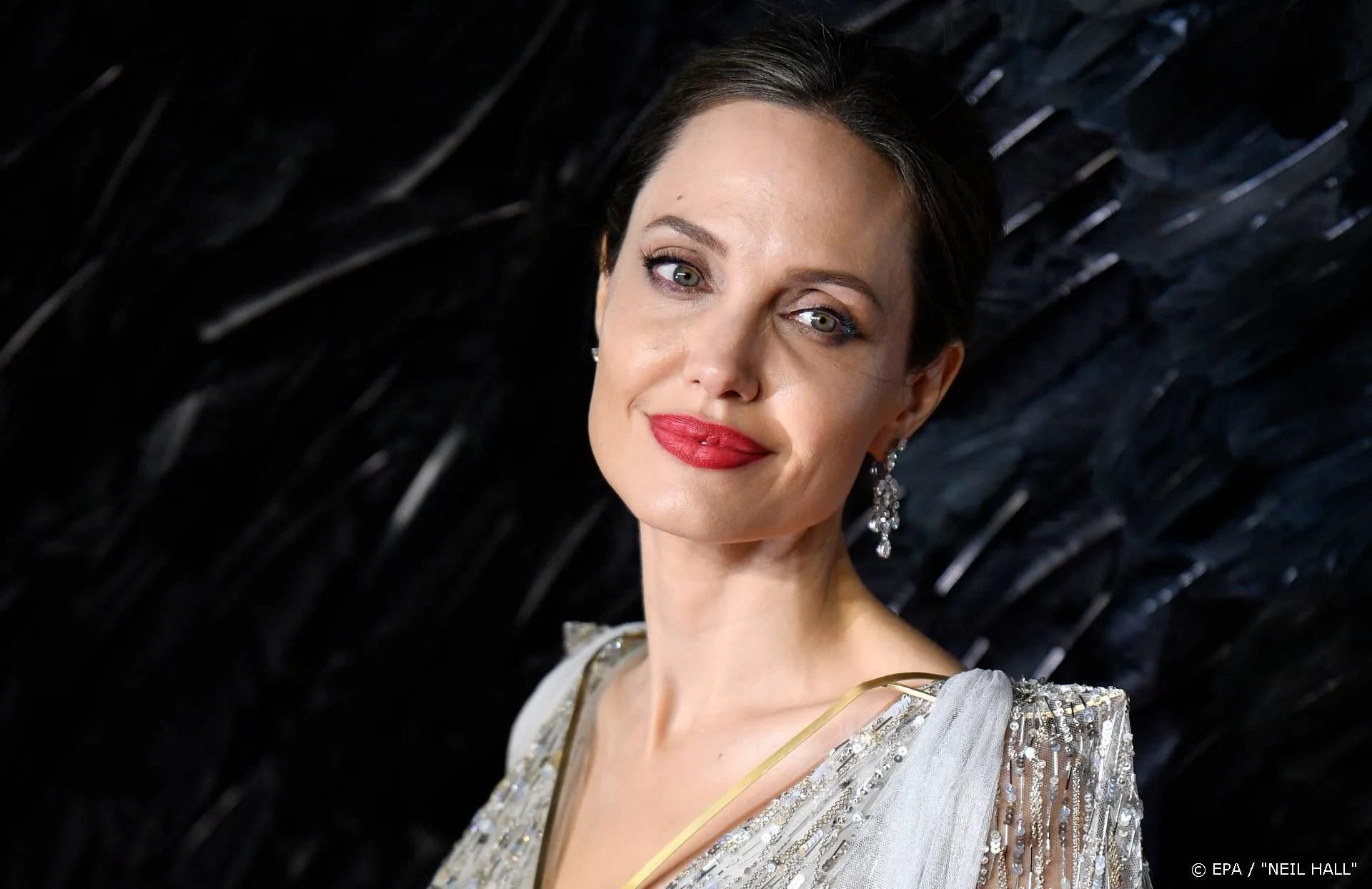Angelina Jolie doneert 200.000 dollar aan fonds tegen racisme