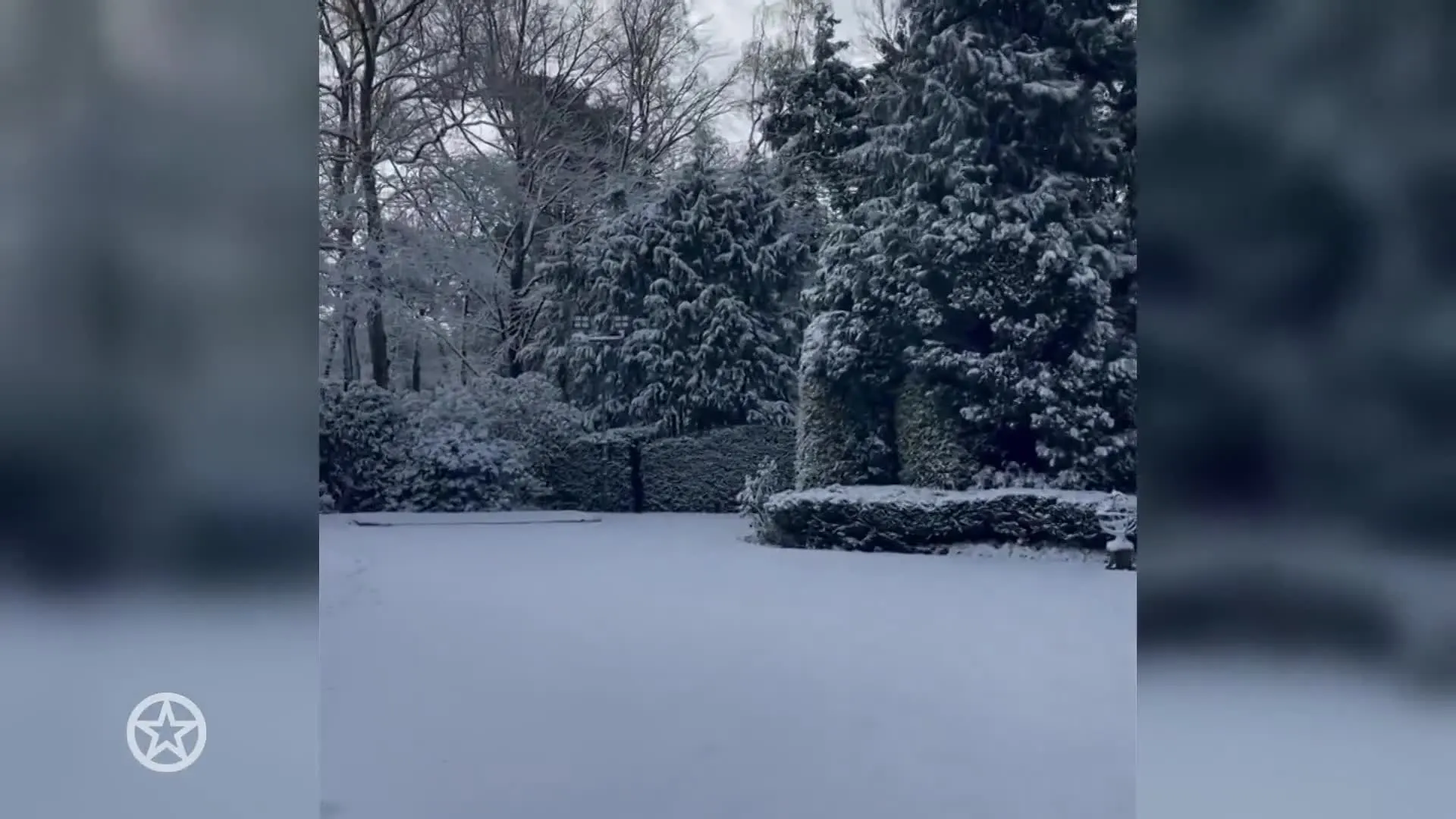 Geliefde hond Bobby van de Frogers overleden