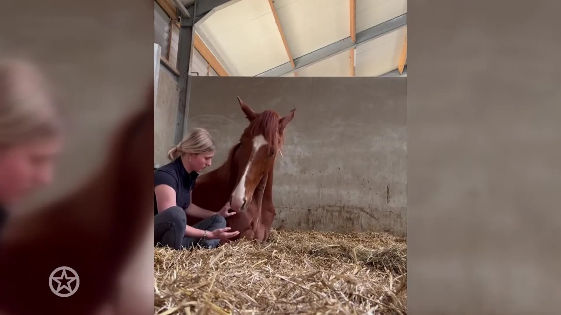 Grote zorgen om paard Britt Dekker