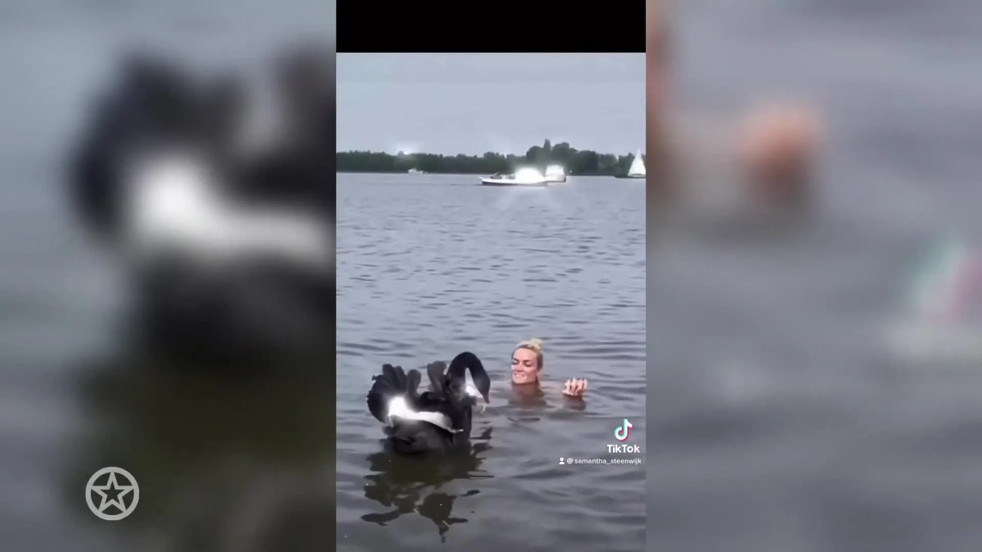 Gewaagd avontuur Samantha Steenwijk