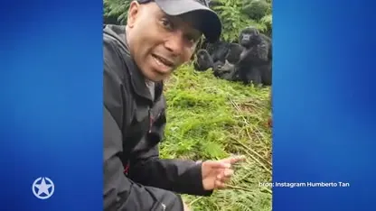 Levensgevaarlijke actie van Humberto Tan!