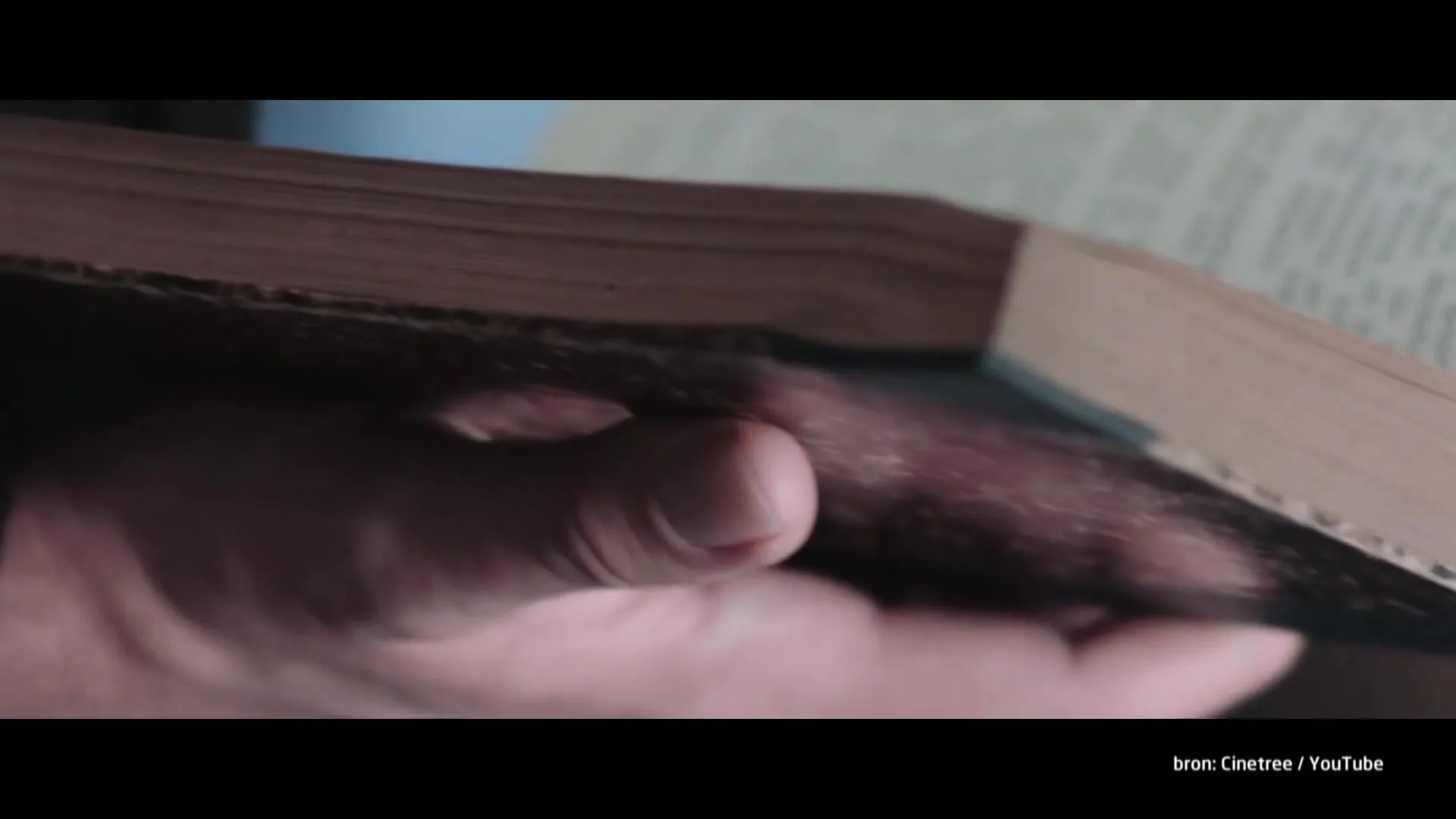 Geen vervolging in zaken Jelle Brandt Corstius en Gijs van Dam