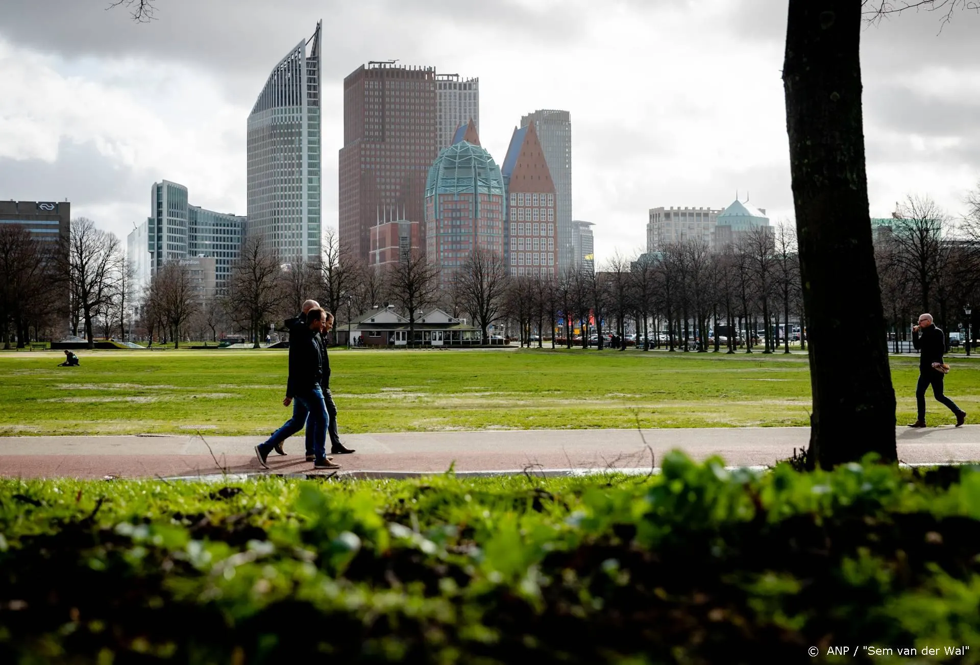 Festivalbaas wil van Malieveld enorme drive-inbioscoop maken