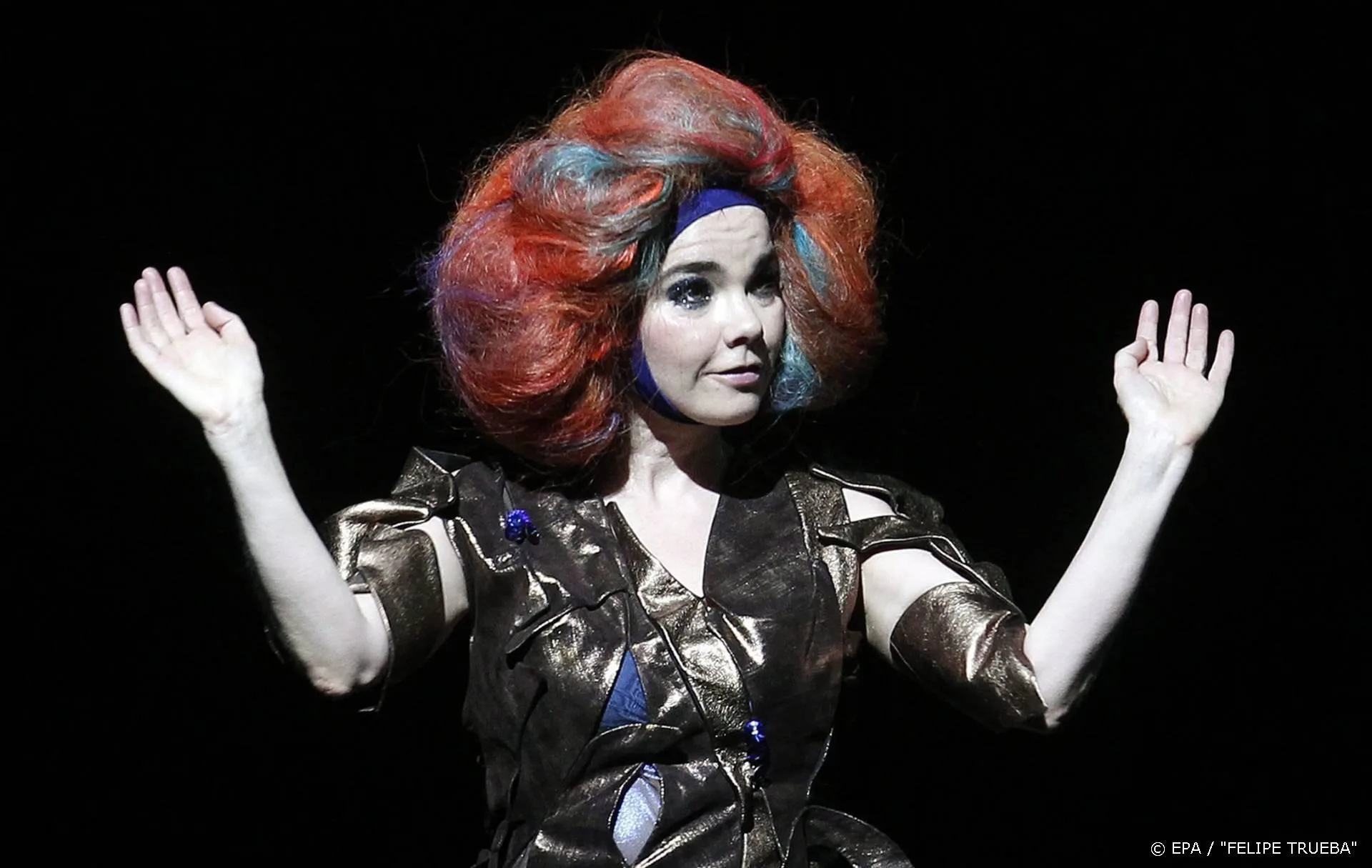 Björk geeft concerten in IJsland voor goede doelen