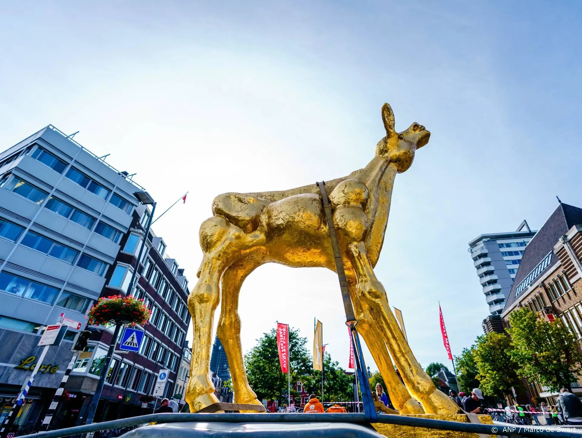 NFF reikt vrijdag eerste genderneutrale Gouden Kalveren uit