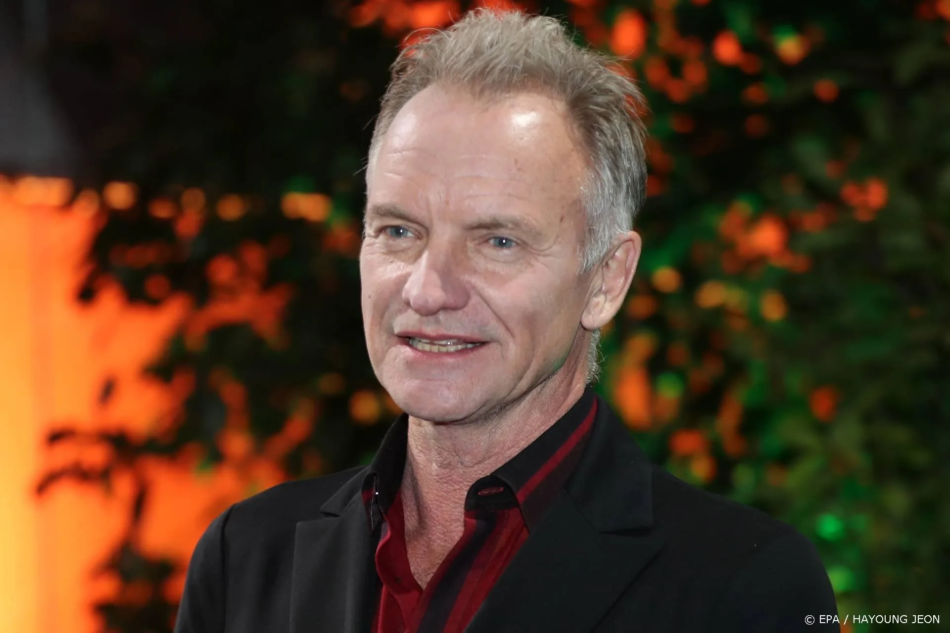 Sting trapt Top 4000 in het Nederlands af