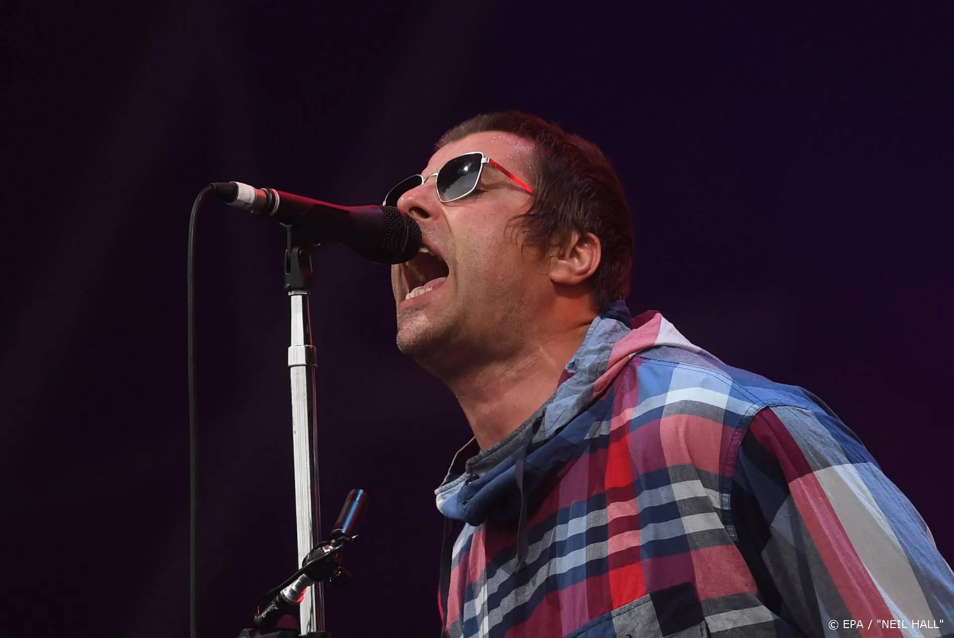 Ook Liam Gallagher en Tones and I deze zomer op Rock Werchter