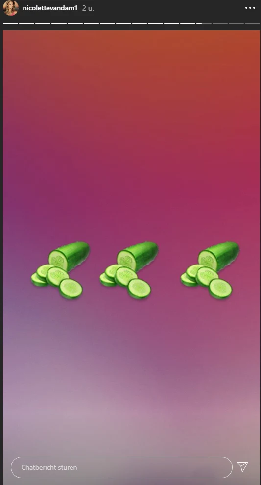 Flinke ophef om Nicolette van Dam na 'racistische' opmerking