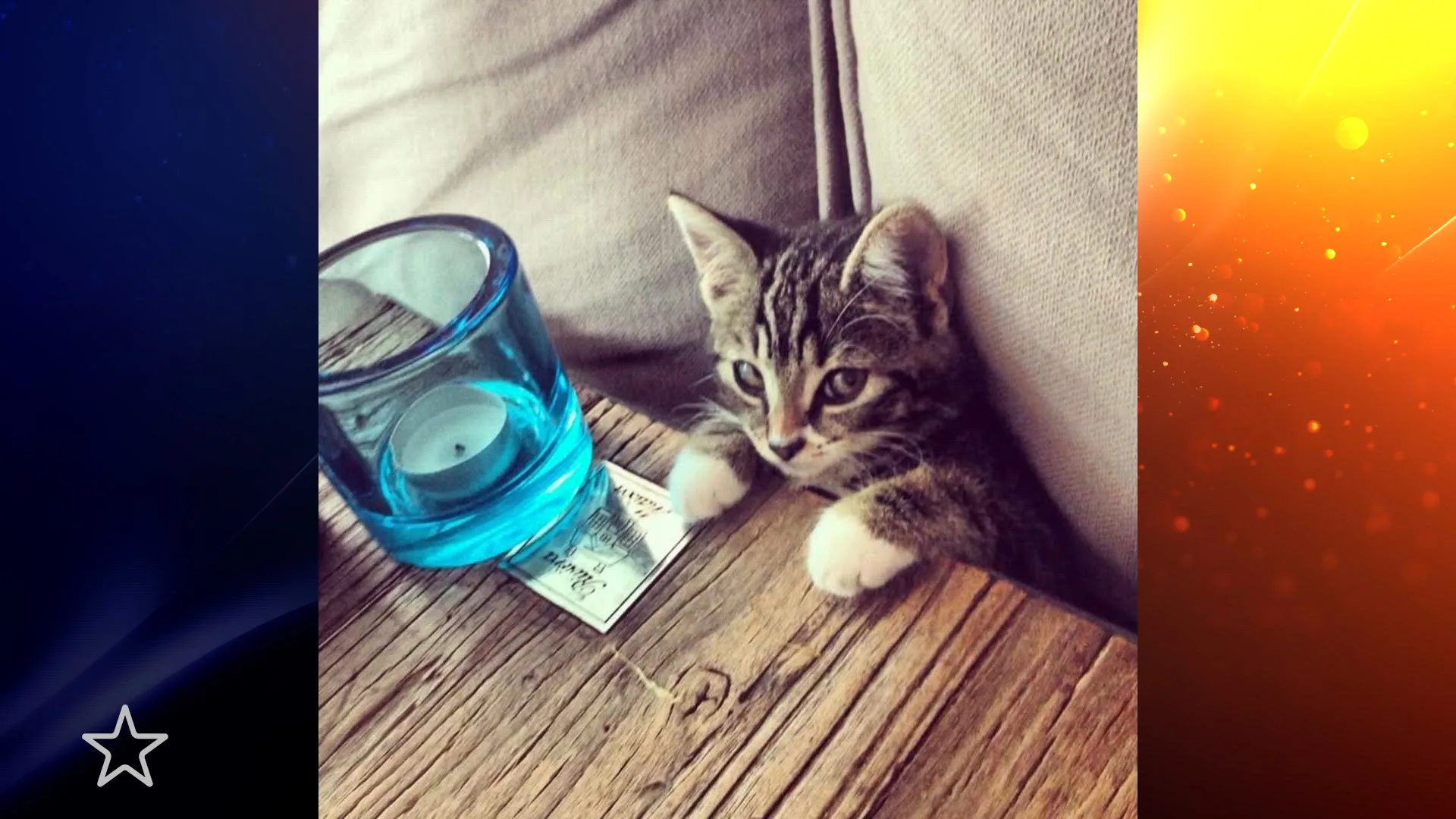 Carlo Boszhard en Herald Adolfs nemen afscheid van kat Lotje