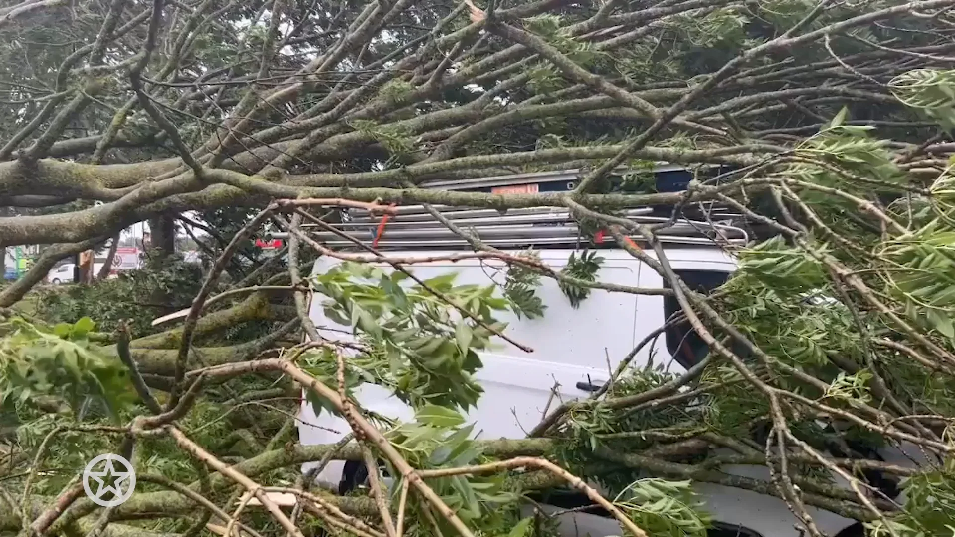 Ook bekend Nederland deelt stormschade zeer zware zomerstorm Poly