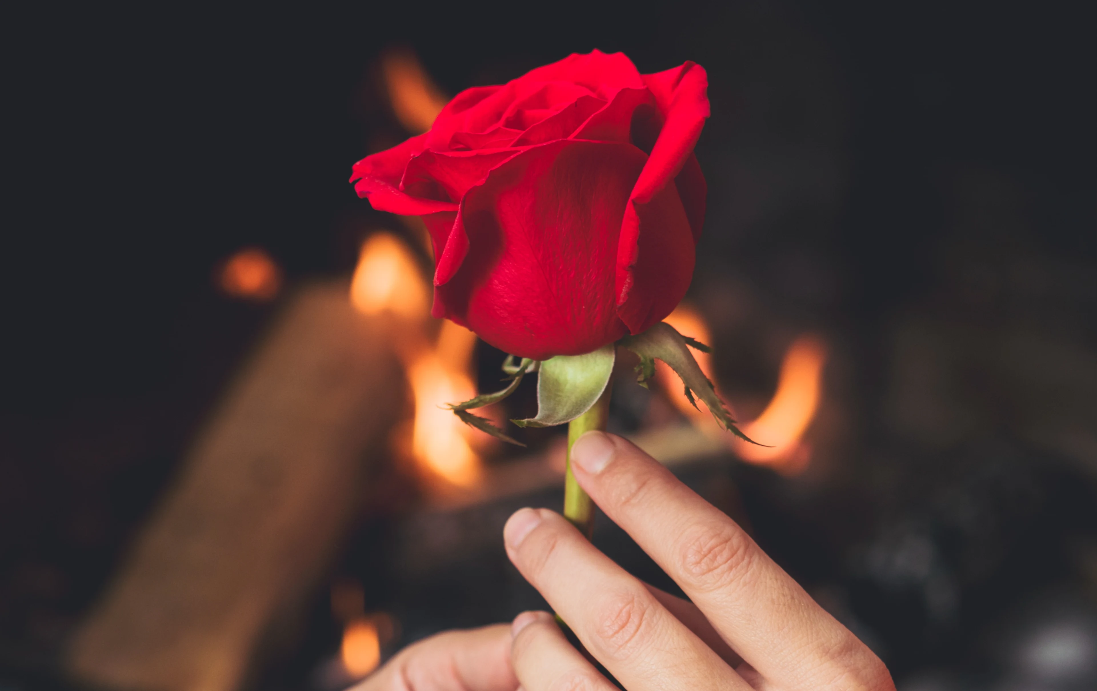 Liefde vinden via een tv-programma? Dit vindt bekend Nederland