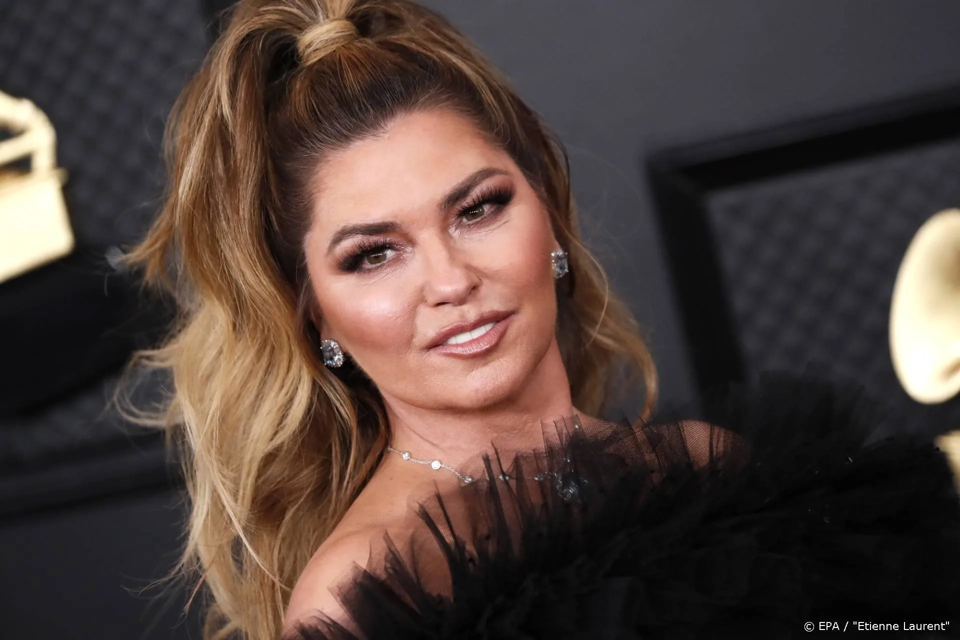 Shania Twain gaat tv-serie produceren