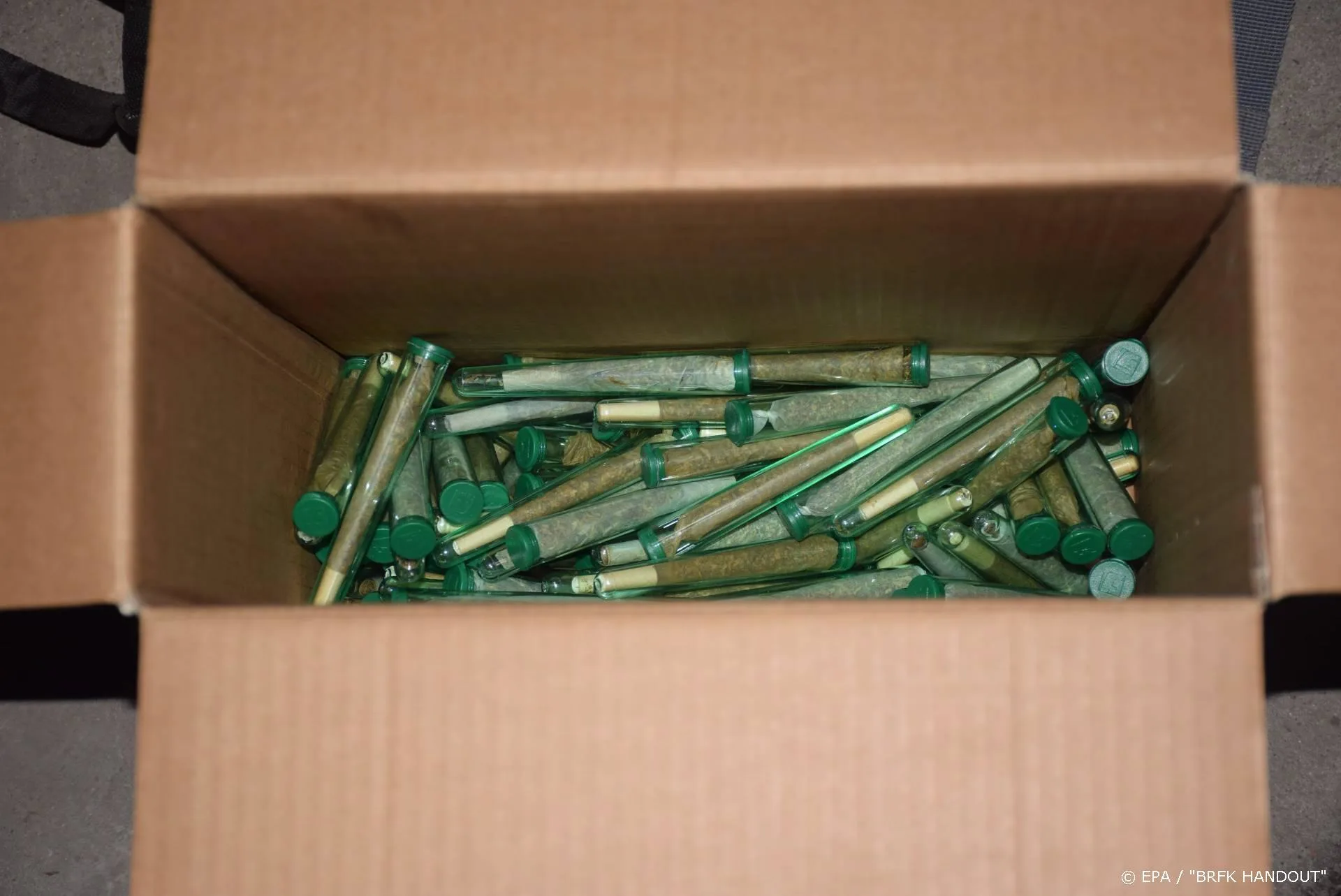 Nederlanders aanvaarden strafvoorstel om drugshandel op Sziget