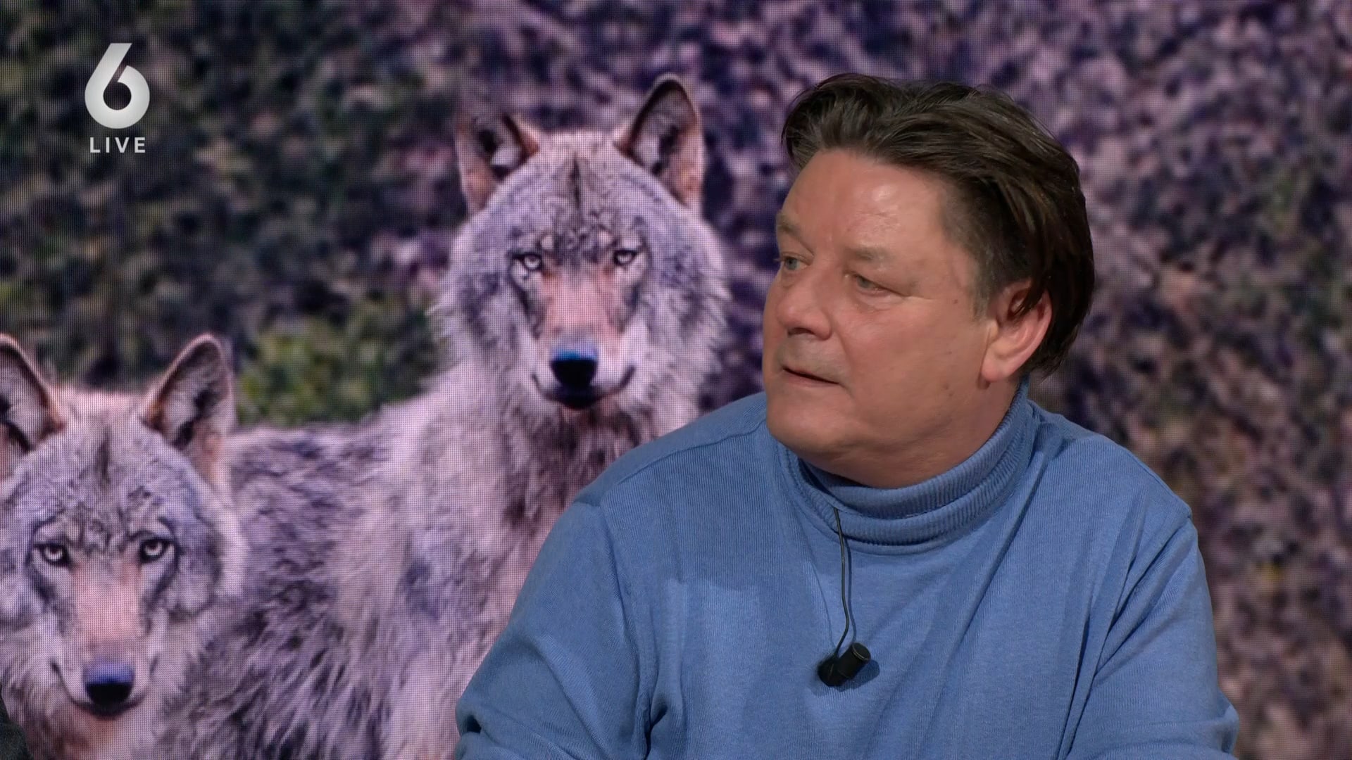 Mogen wolven worden afgeschoten?