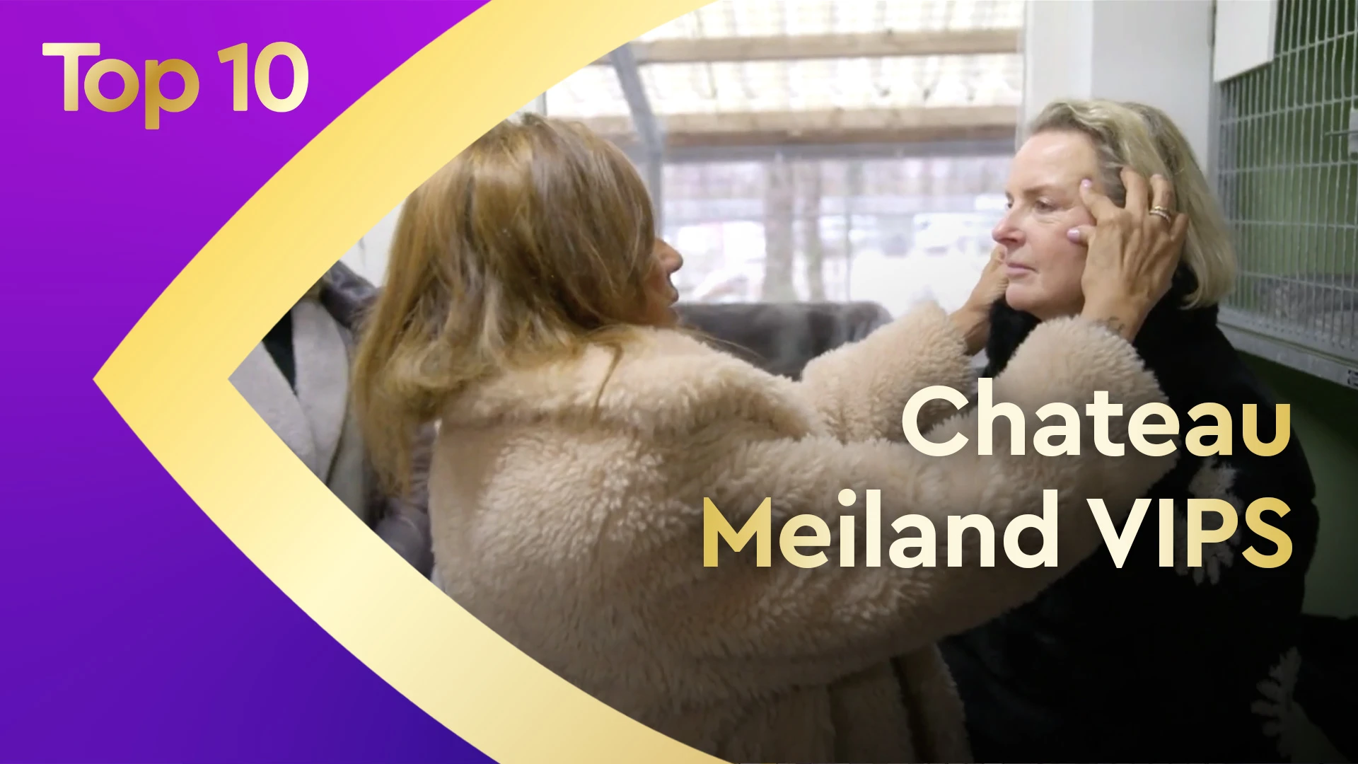 Top 10 Chateau Meiland: de hoogtepunten van het afgelopen jaar