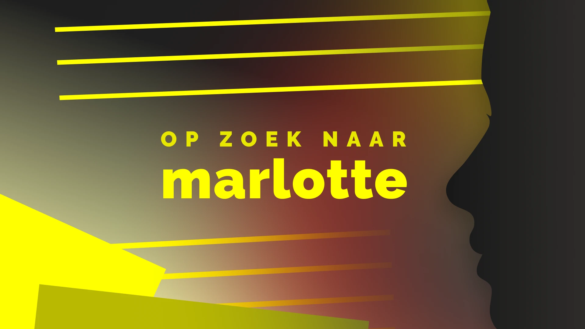 Opvallende wending in Op zoek naar Marlotte-zaak