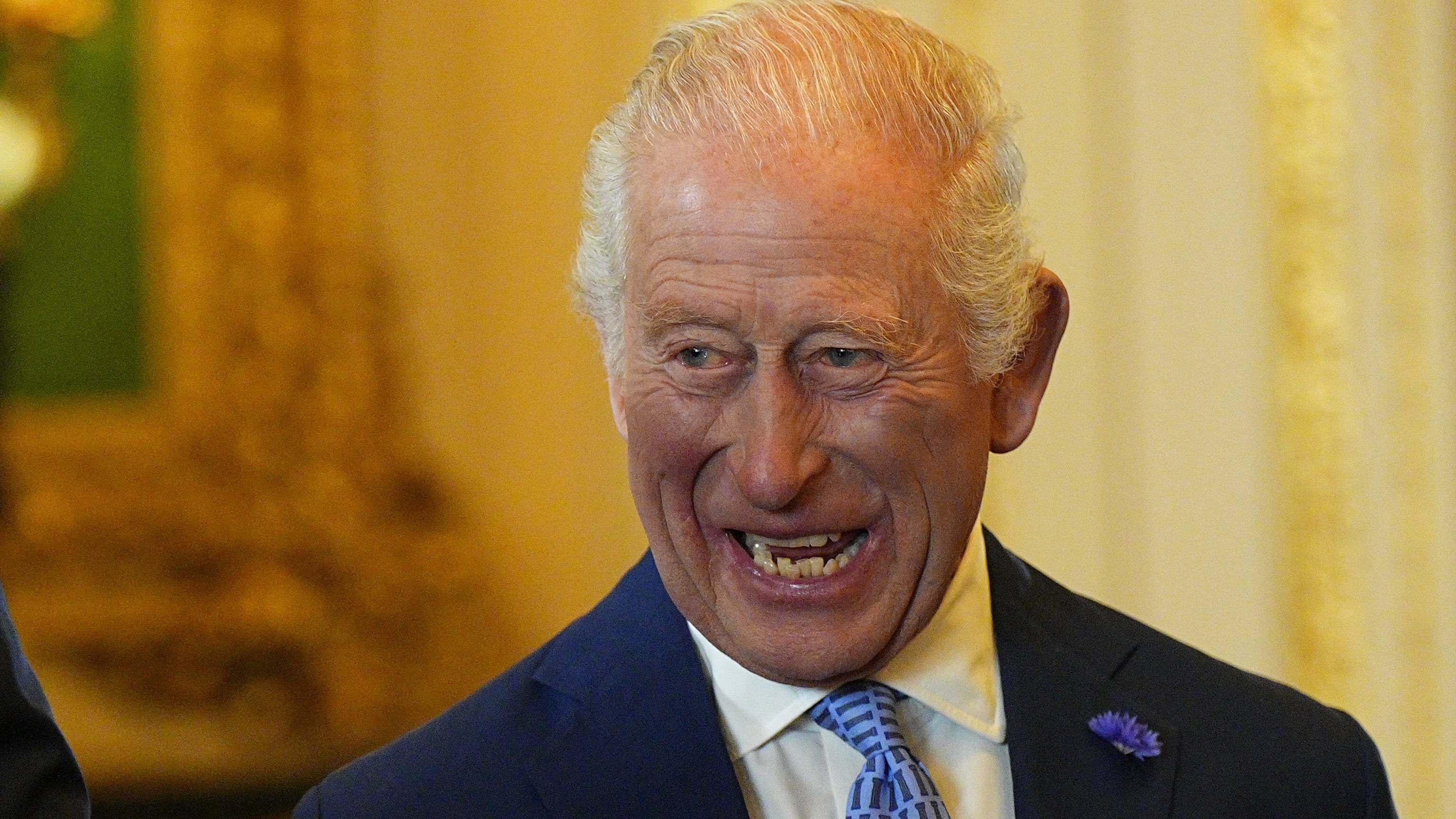 'Schattige' ontmoeting voor koning Charles