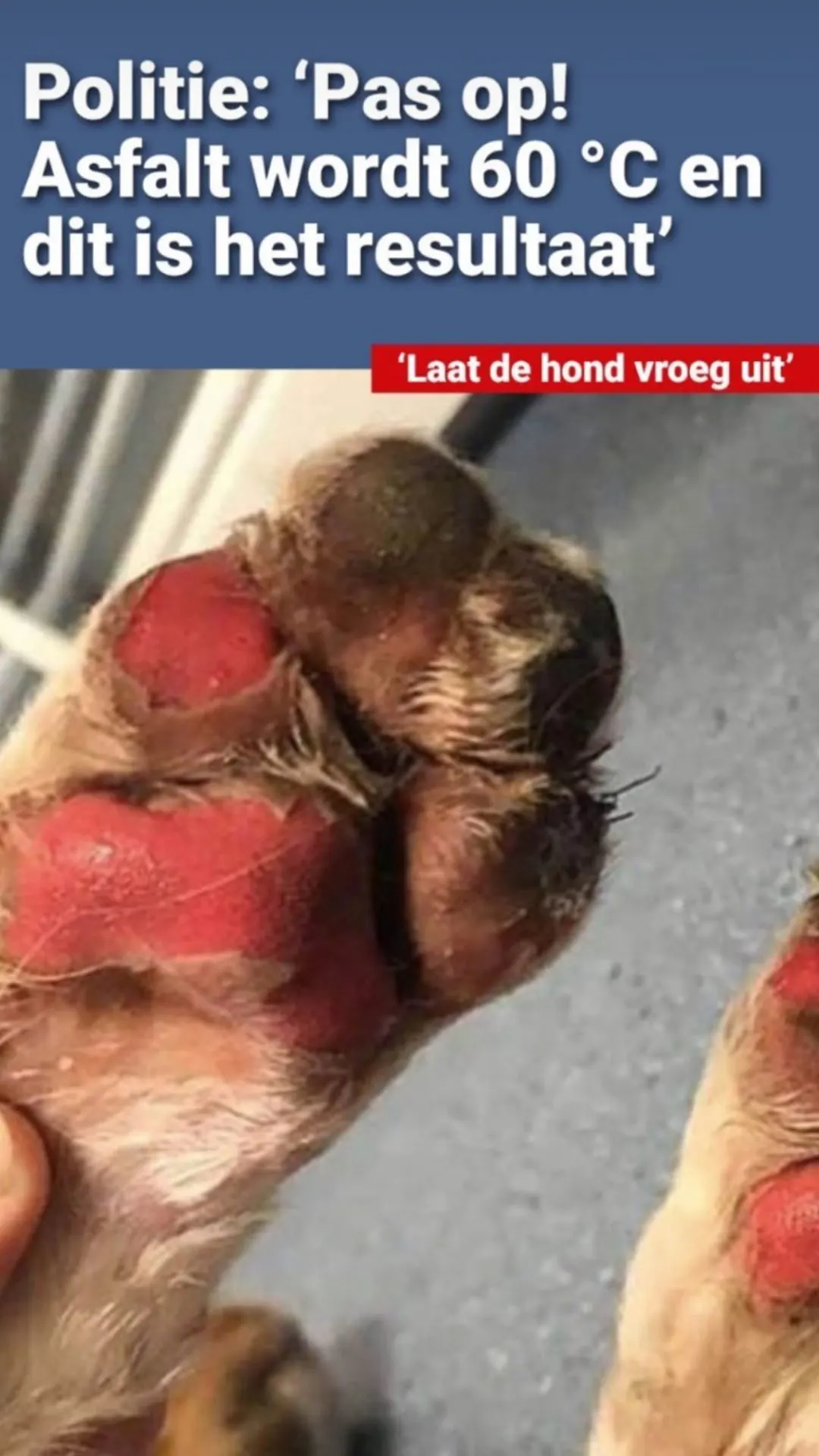 Tino Martin en André Hazes delen belangrijke waarschuwing