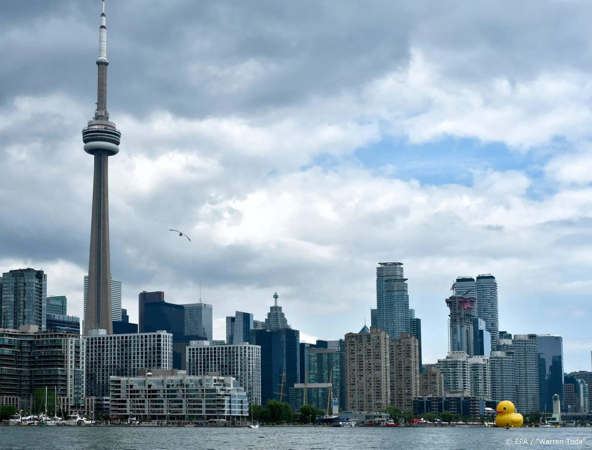 Nederlandse film Marlon Brando in première op TIFF