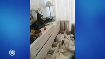 Paleisje Frank en Rogier compleet overhoop gehaald bij inbraak