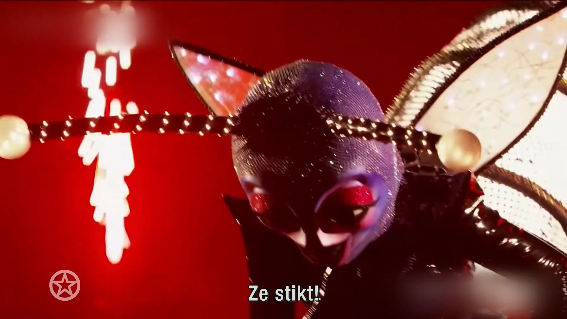 Deelnemer Masked Singer stikt