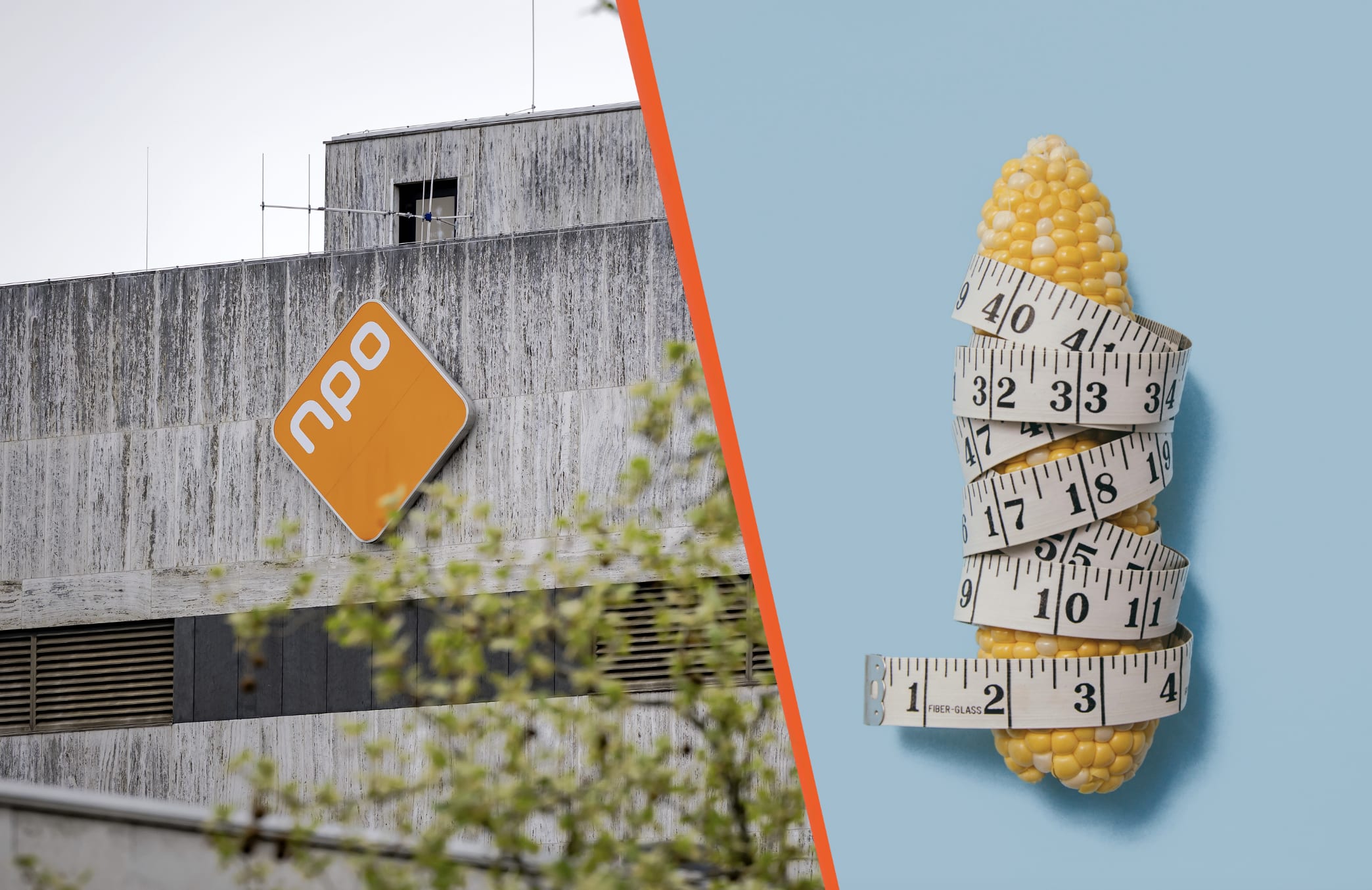 NPO komt met documentaire over mannen met kleine piemels: 'Zijn er heel veel!'