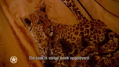 Addy van den Krommenacker naar Koeweit