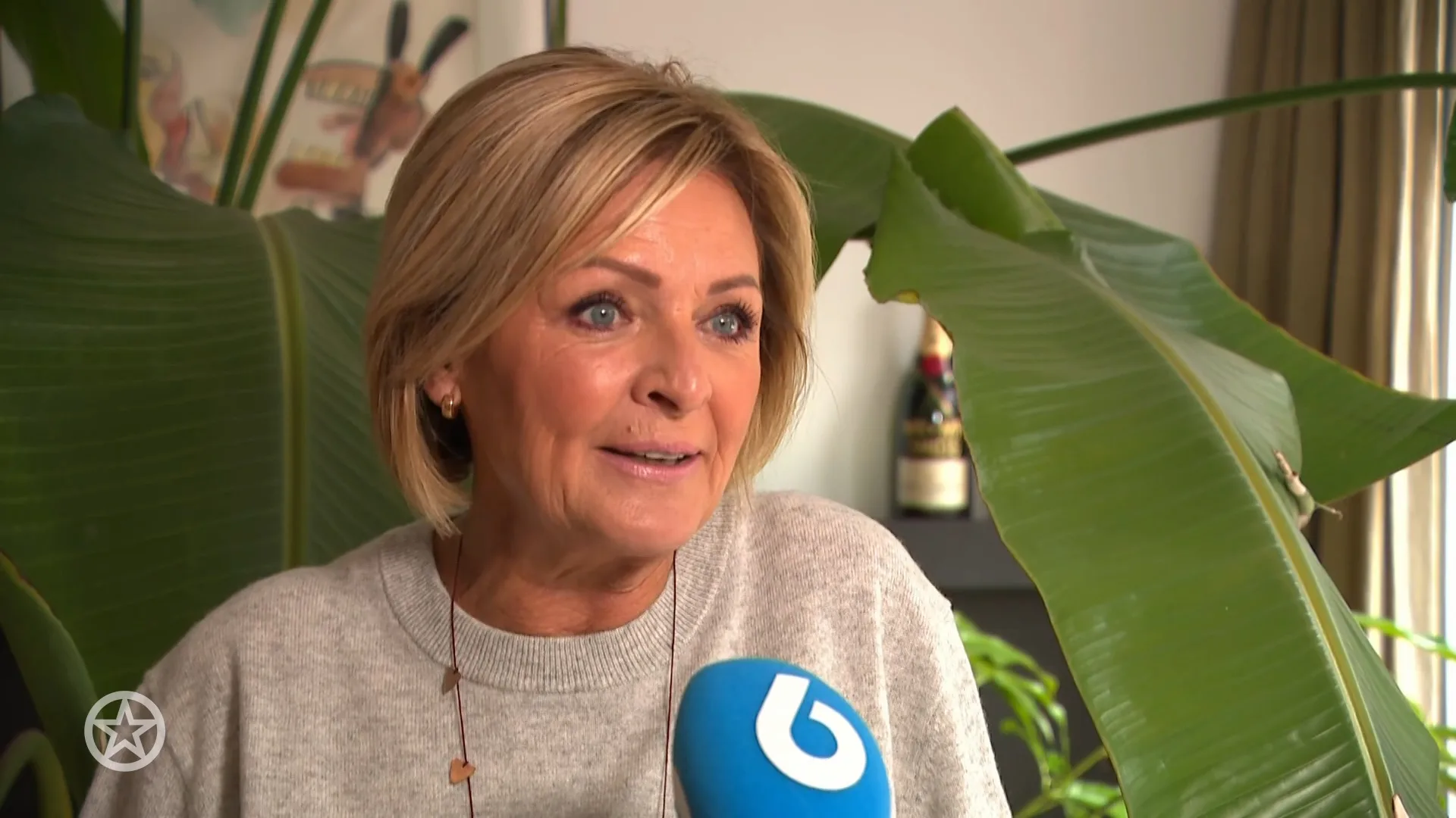 Nieuw seizoen Het Perfecte Plaatje gaat van start