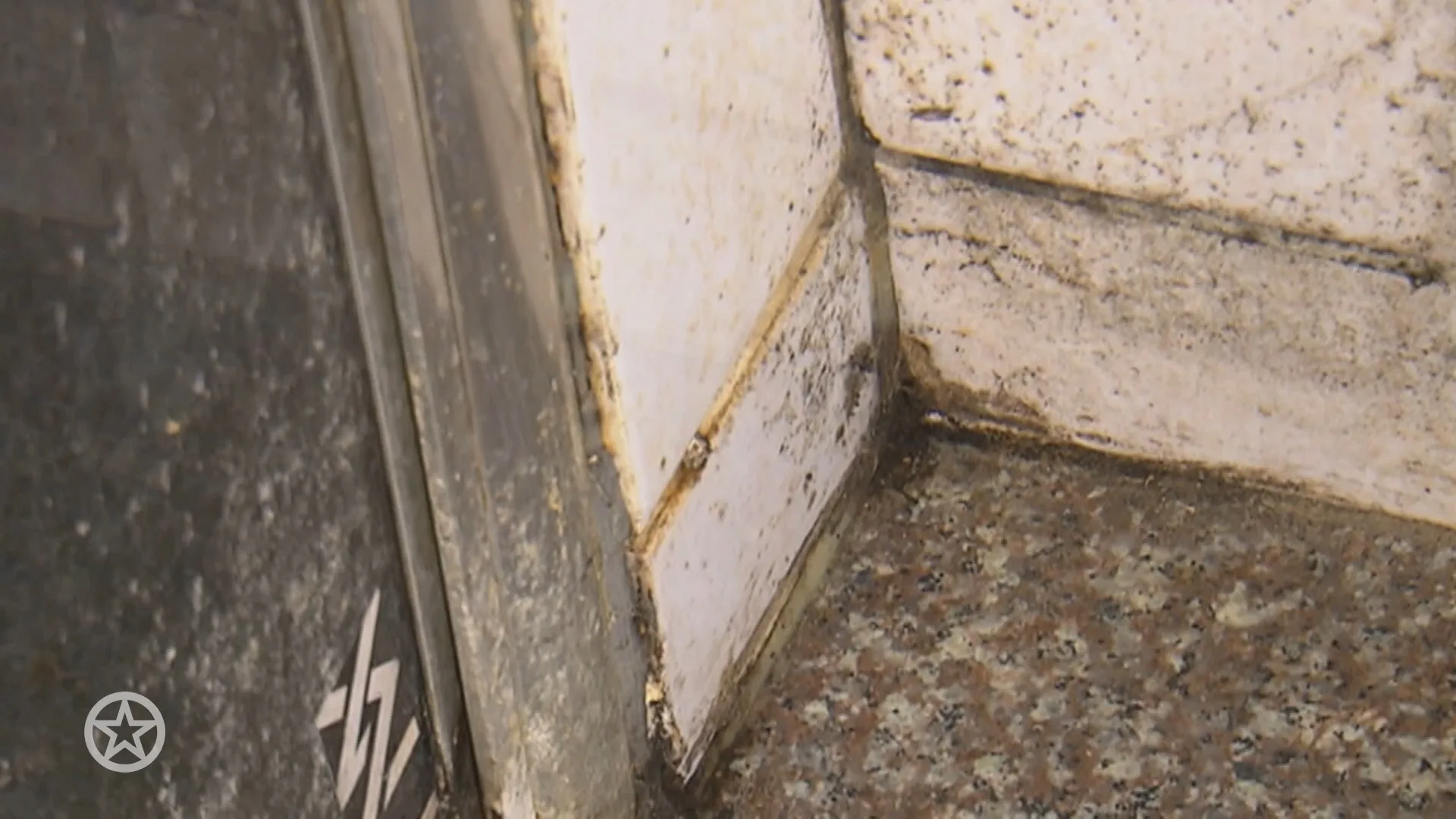 Kijkers gaan los op zeer onhygiënisch huis in Mr. Frank Visser Doet Uitspraak