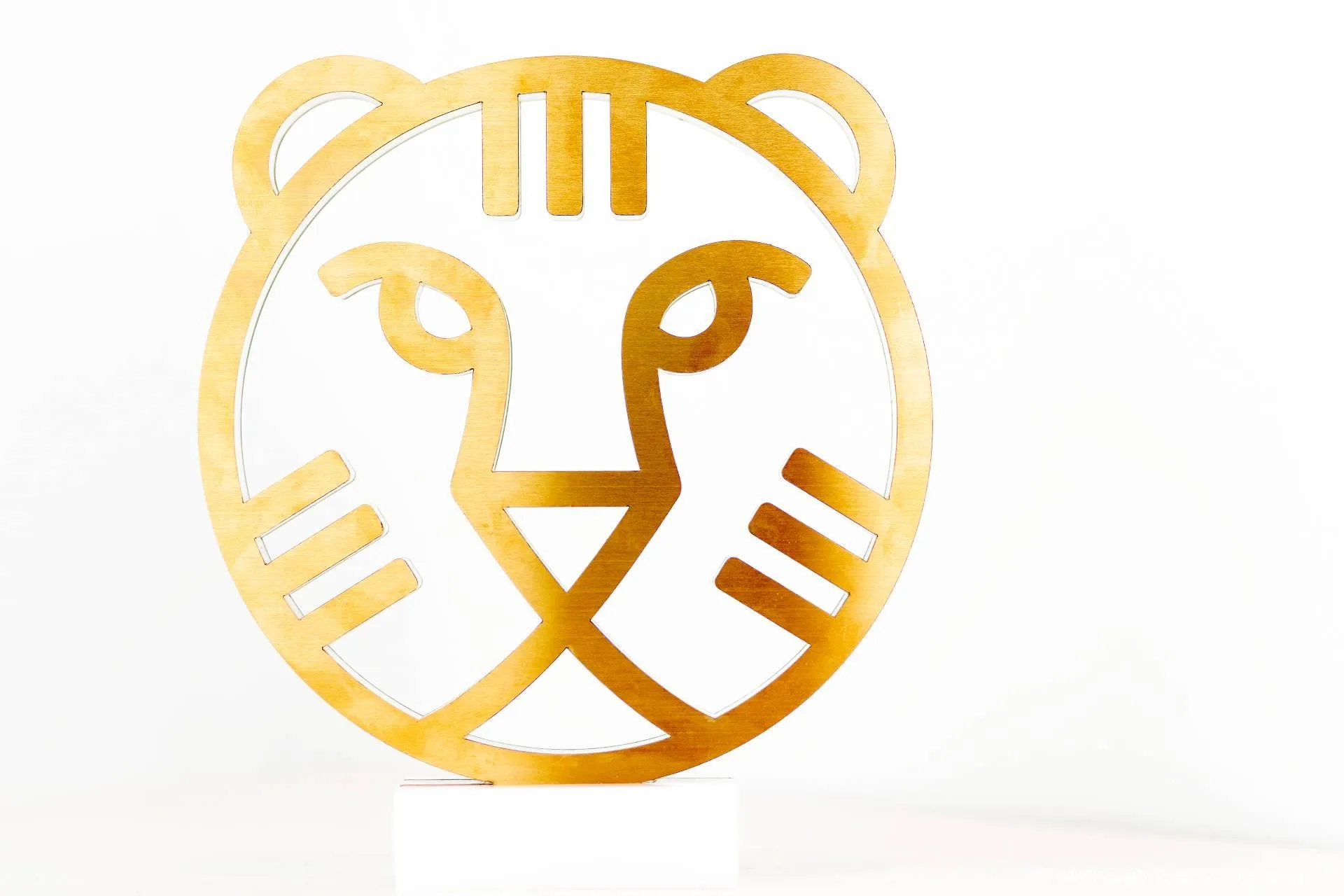 Internationaal Film Festival Rotterdam virtueel van start