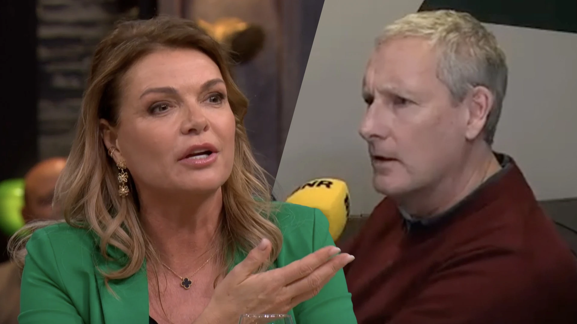 Goedele Liekens geconfronteerd met uitspraken van 'op z'n pik getrapte' Gert Verhulst