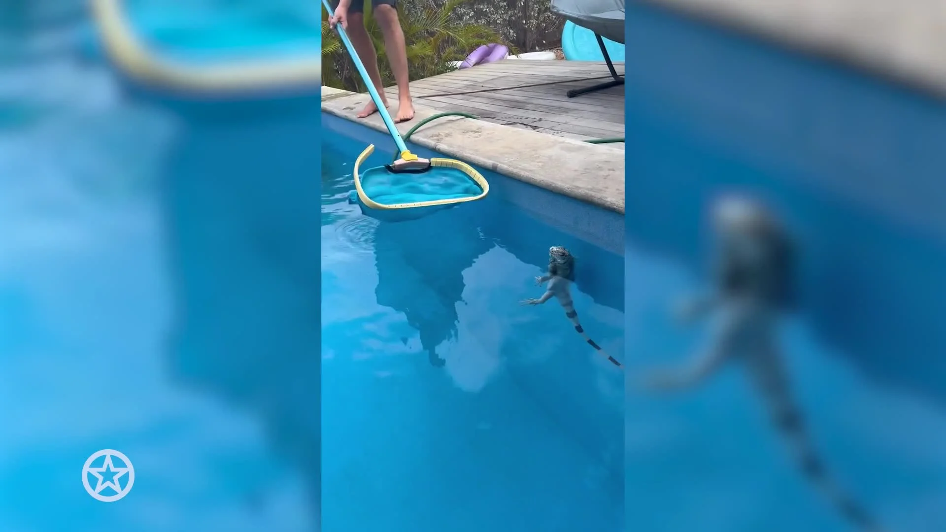 Wietze de Jager verricht een heldendaad