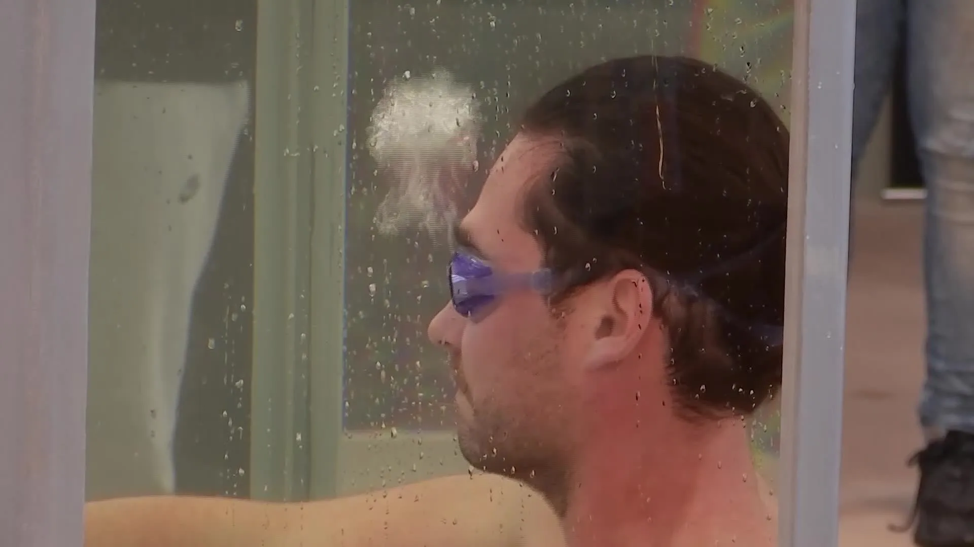 Hoogtepunten uit 100 dagen Een Jaar Van Je Leven