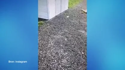 ZIEN: Zo gigantisch is de villa van rapper Boef