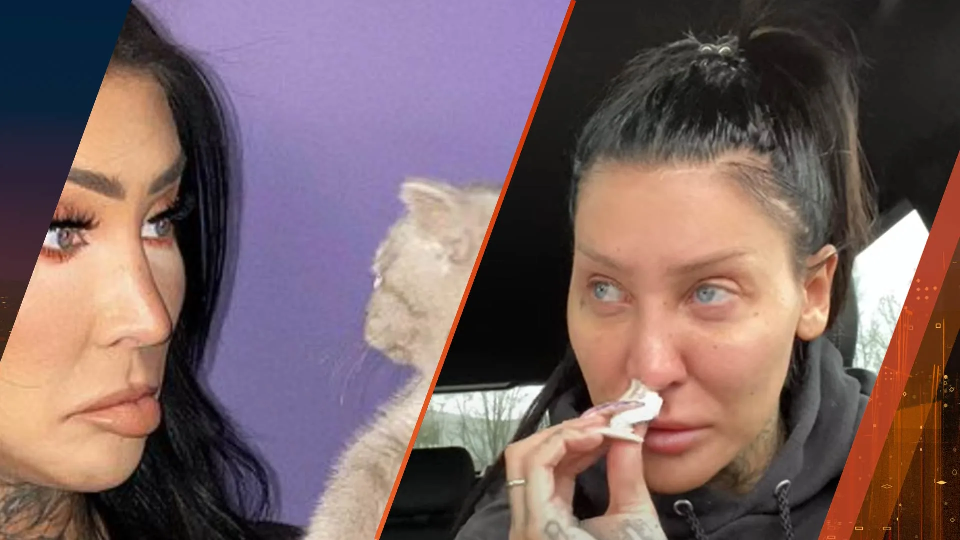 Kitten Jessie Maya op gruwelijke wijze overleden