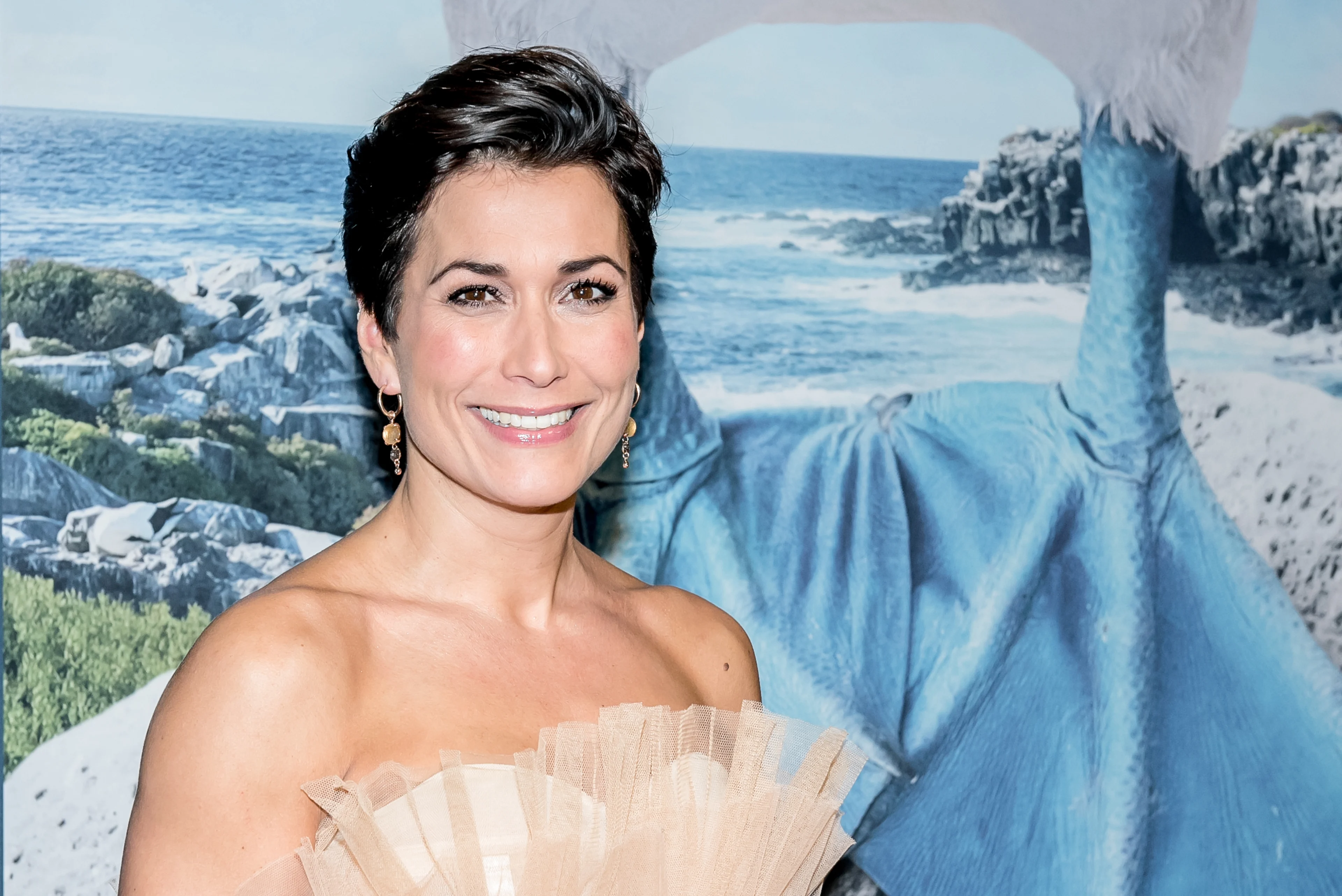 'Is dít de reden van plotse afwezigheid Annechien Steenhuizen?'