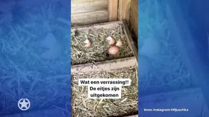 Miljuschka vernoemt huisdier naar Chantal Janzen