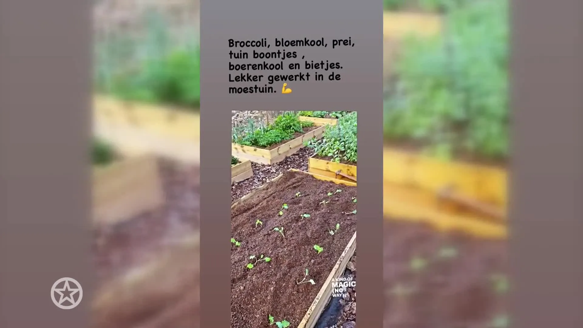 Sonja Bakker dopt eigen boontjes