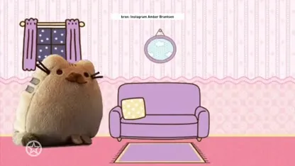 Nieuwslezer Amber Brantsen is zwanger