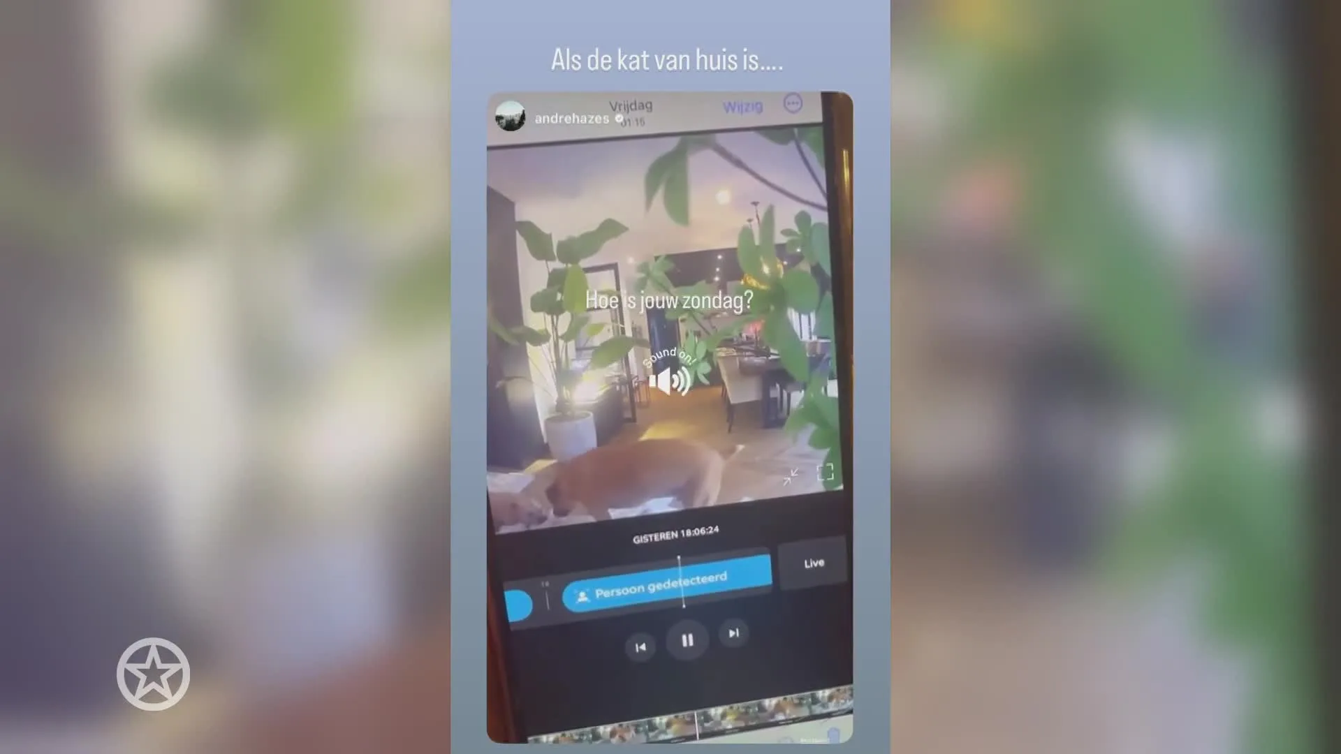 Honden richten ravage aan in Monique Westenberg