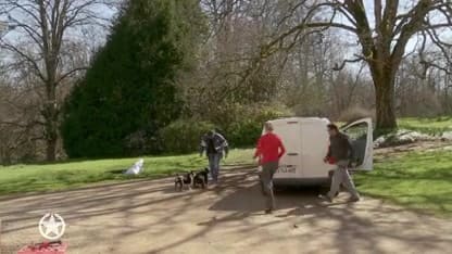 ZIEN: Hond Bommel van Martien Meiland