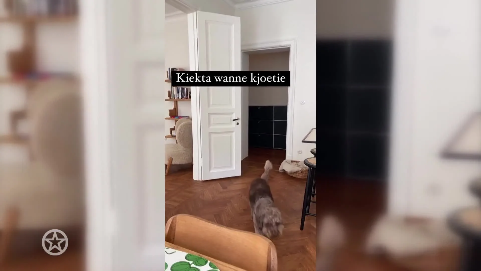 Een hondje voor Sander Schimmelpenninck