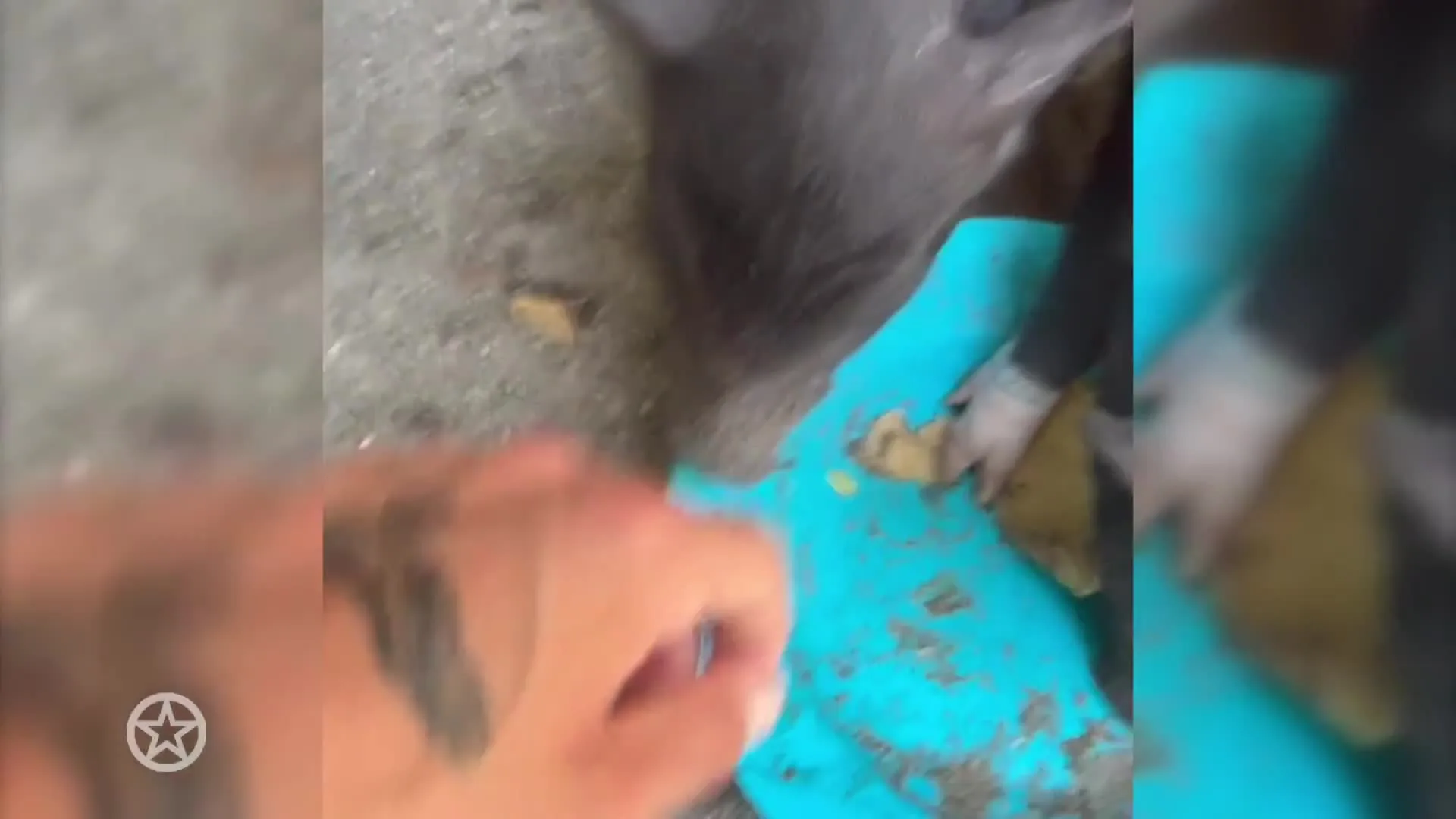 André Hazes valt op met deze tattoo