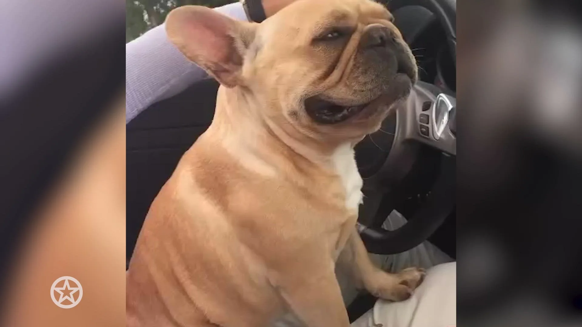 Groot verlies voor Bo Wilkes